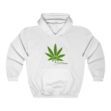 Load image into Gallery viewer, Unisex Heavy Blend™ Hooded Sweatshirt