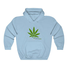 Load image into Gallery viewer, Unisex Heavy Blend™ Hooded Sweatshirt
